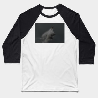 F-22 Raptor Baseball T-Shirt